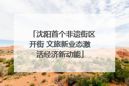 沈阳首个非遗街区开街 文旅新业态激活经济新动能