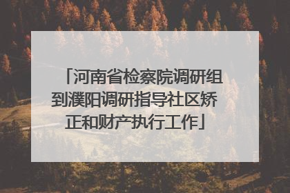 河南省检察院调研组到濮阳调研指导社区矫正和财产执行工作