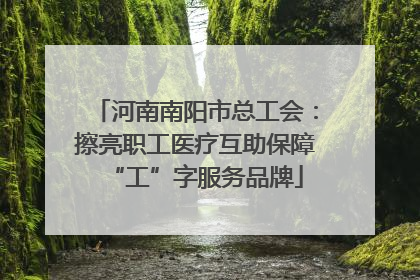 河南南阳市总工会：擦亮职工医疗互助保障“工”字服务品牌