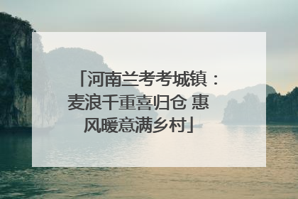 河南兰考考城镇：麦浪千重喜归仓 惠风暖意满乡村