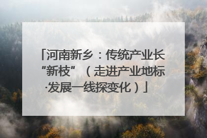 河南新乡：传统产业长“新枝”（走进产业地标·发展一线探变化）