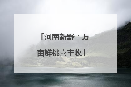 河南新野：万亩鲜桃喜丰收