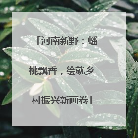 河南新野：蟠桃飘香，绘就乡村振兴新画卷