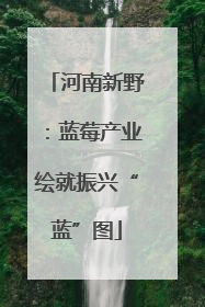 河南新野：蓝莓产业绘就振兴“蓝”图