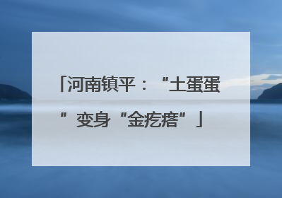 河南镇平：“土蛋蛋”变身“金疙瘩”