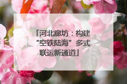 河北廊坊：构建“空铁陆海”多式联运新通道