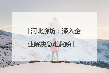 河北廊坊：深入企业解决急难愁盼