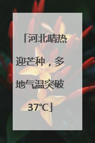 河北晴热迎芒种，多地气温突破37℃