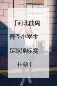 河北曲周春季小学生足球锦标赛开幕