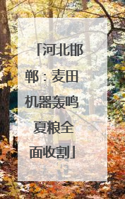 河北邯郸：麦田机器轰鸣 夏粮全面收割