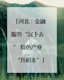 河北：金融服务“沉下去” 特色产业“升起来”