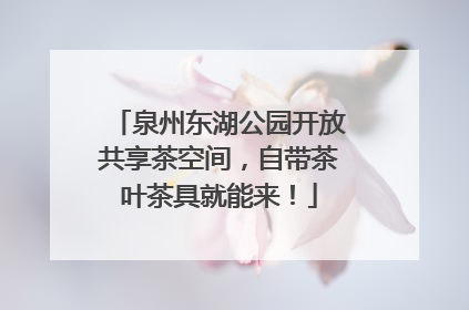 泉州东湖公园开放共享茶空间，自带茶叶茶具就能来！