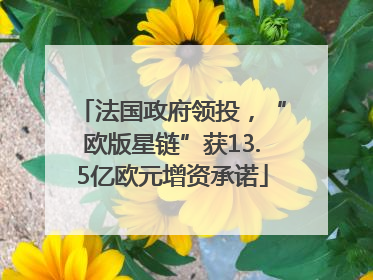 法国政府领投，“欧版星链”获13.5亿欧元增资承诺