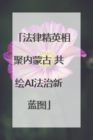 法律精英相聚内蒙古 共绘AI法治新蓝图