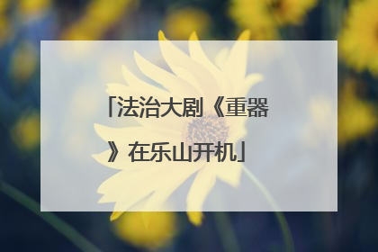 法治大剧《重器》在乐山开机