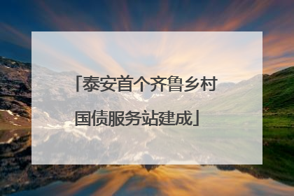 泰安首个齐鲁乡村国债服务站建成