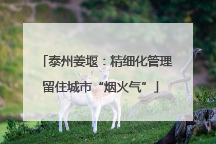 泰州姜堰：精细化管理留住城市“烟火气”