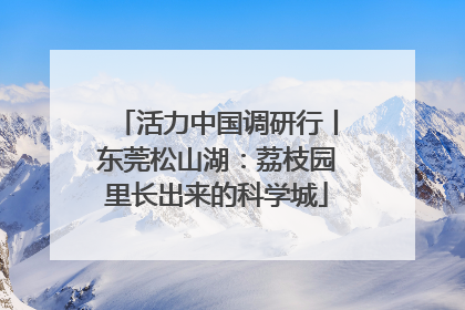活力中国调研行丨东莞松山湖：荔枝园里长出来的科学城