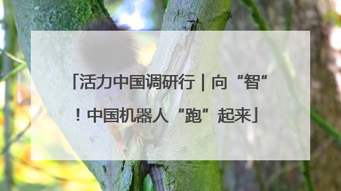 活力中国调研行｜向“智”！中国机器人“跑”起来