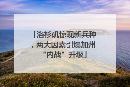洛杉矶惊现新兵种，两大因素引爆加州“内战”升级