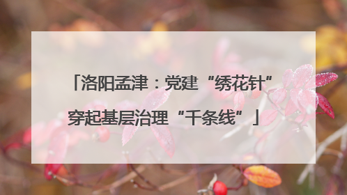 洛阳孟津：党建“绣花针”穿起基层治理“千条线”