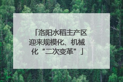 洛阳水稻主产区迎来规模化、机械化“二次变革”