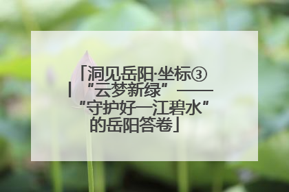 洞见岳阳·坐标③丨“云梦新绿”——“守护好一江碧水”的岳阳答卷