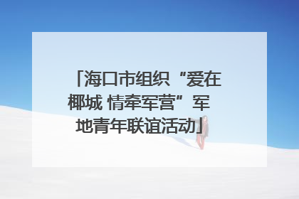 海口市组织“爱在椰城 情牵军营”军地青年联谊活动