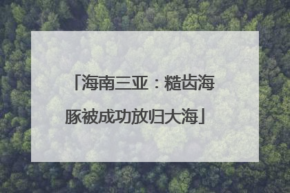 海南三亚：糙齿海豚被成功放归大海