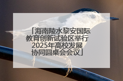 海南陵水黎安国际教育创新试验区举行2025年高校发展协同圆桌会会议