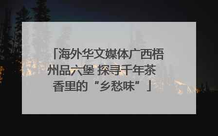 海外华文媒体广西梧州品六堡 探寻千年茶香里的“乡愁味”