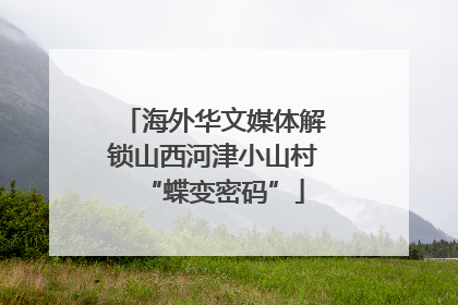 海外华文媒体解锁山西河津小山村“蝶变密码”
