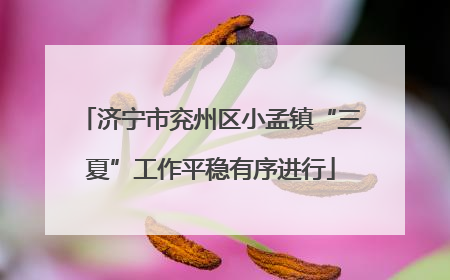 济宁市兖州区小孟镇“三夏”工作平稳有序进行