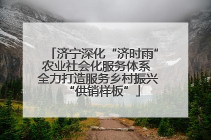 济宁深化“济时雨”农业社会化服务体系 全力打造服务乡村振兴“供销样板”