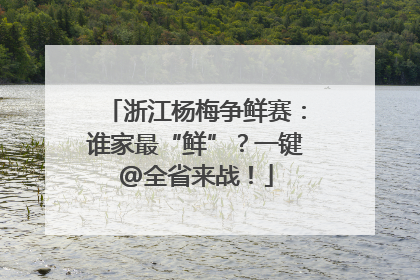 浙江杨梅争鲜赛：谁家最“鲜”？一键@全省来战！