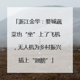 浙江金华：婺城蔬菜也“坐”上了飞机，无人机为乡村振兴插上“翅膀”
