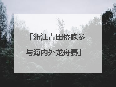 浙江青田侨胞参与海内外龙舟赛