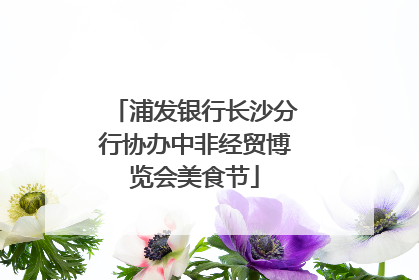 浦发银行长沙分行协办中非经贸博览会美食节