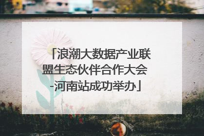 浪潮大数据产业联盟生态伙伴合作大会-河南站成功举办