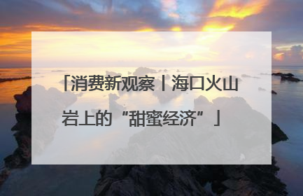 消费新观察丨海口火山岩上的“甜蜜经济”