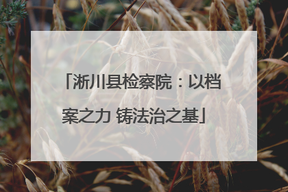 淅川县检察院：以档案之力 铸法治之基