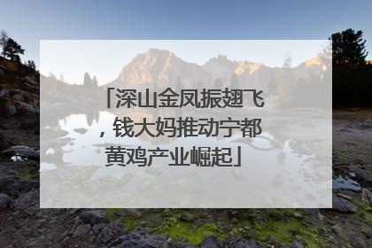 深山金凤振翅飞，钱大妈推动宁都黄鸡产业崛起
