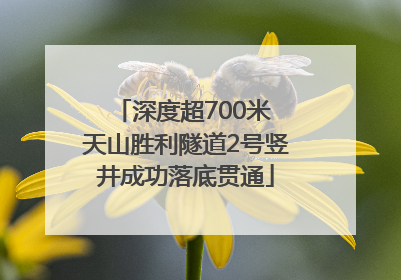 深度超700米 天山胜利隧道2号竖井成功落底贯通