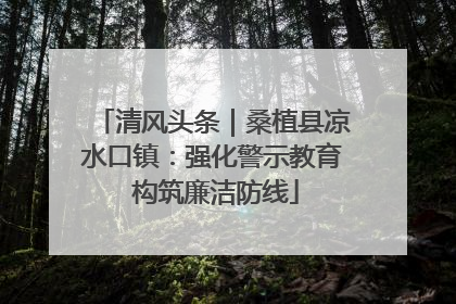 清风头条｜桑植县凉水口镇：强化警示教育 构筑廉洁防线