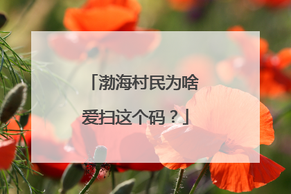 渤海村民为啥爱扫这个码？