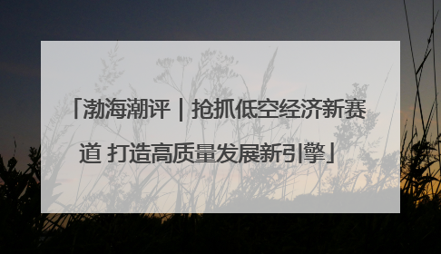 渤海潮评｜抢抓低空经济新赛道 打造高质量发展新引擎