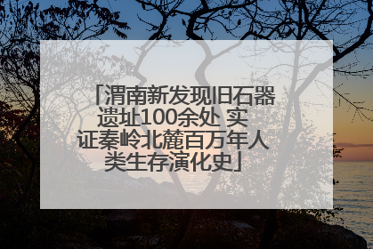 渭南新发现旧石器遗址100余处 实证秦岭北麓百万年人类生存演化史
