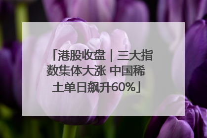 港股收盘｜三大指数集体大涨 中国稀土单日飙升60%