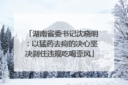 湖南省委书记沈晓明：以猛药去疴的决心坚决刹住违规吃喝歪风