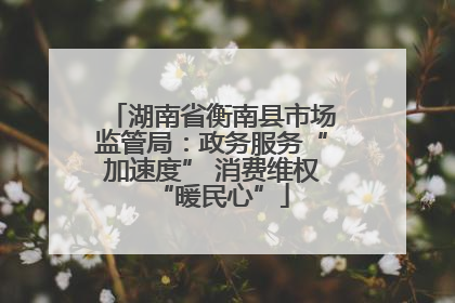 湖南省衡南县市场监管局：政务服务“加速度” 消费维权“暖民心”